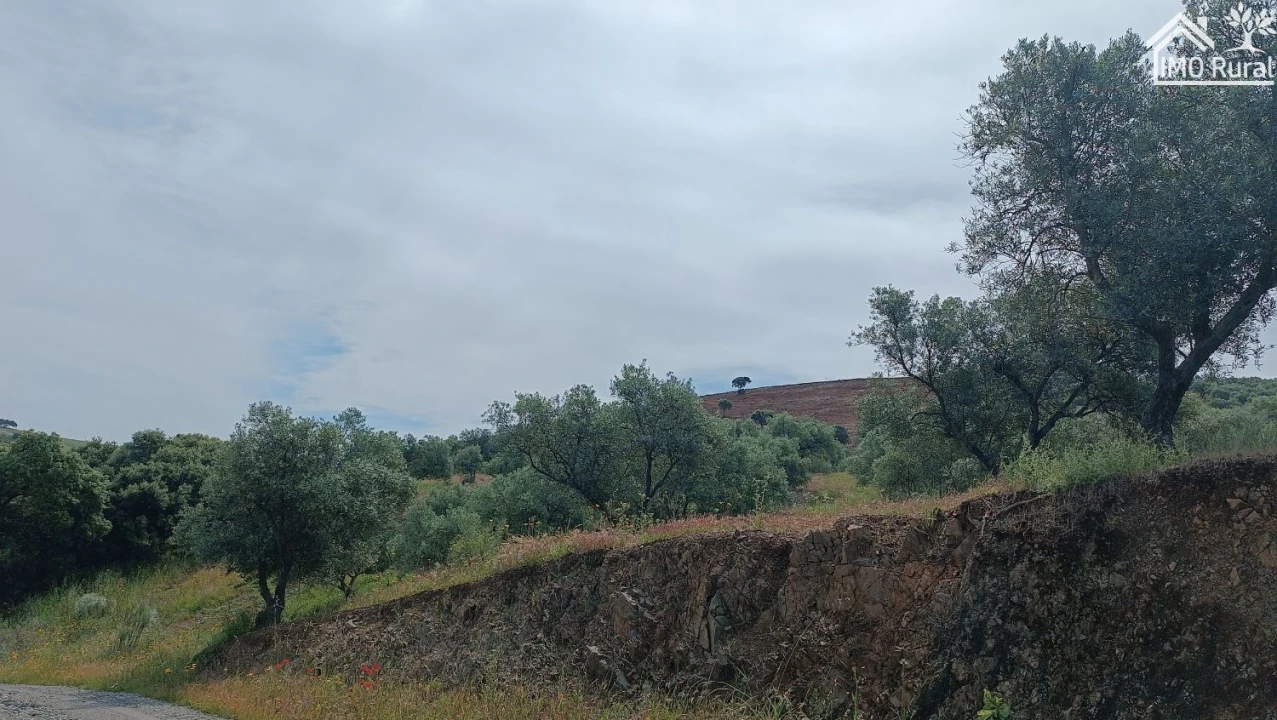 Terreno para Venda em Assunção, Ajuda, Salvador e Santo Ildefonso Foto 29