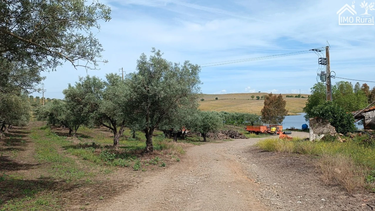 Terreno para Venda em Assunção, Ajuda, Salvador e Santo Ildefonso Foto 8