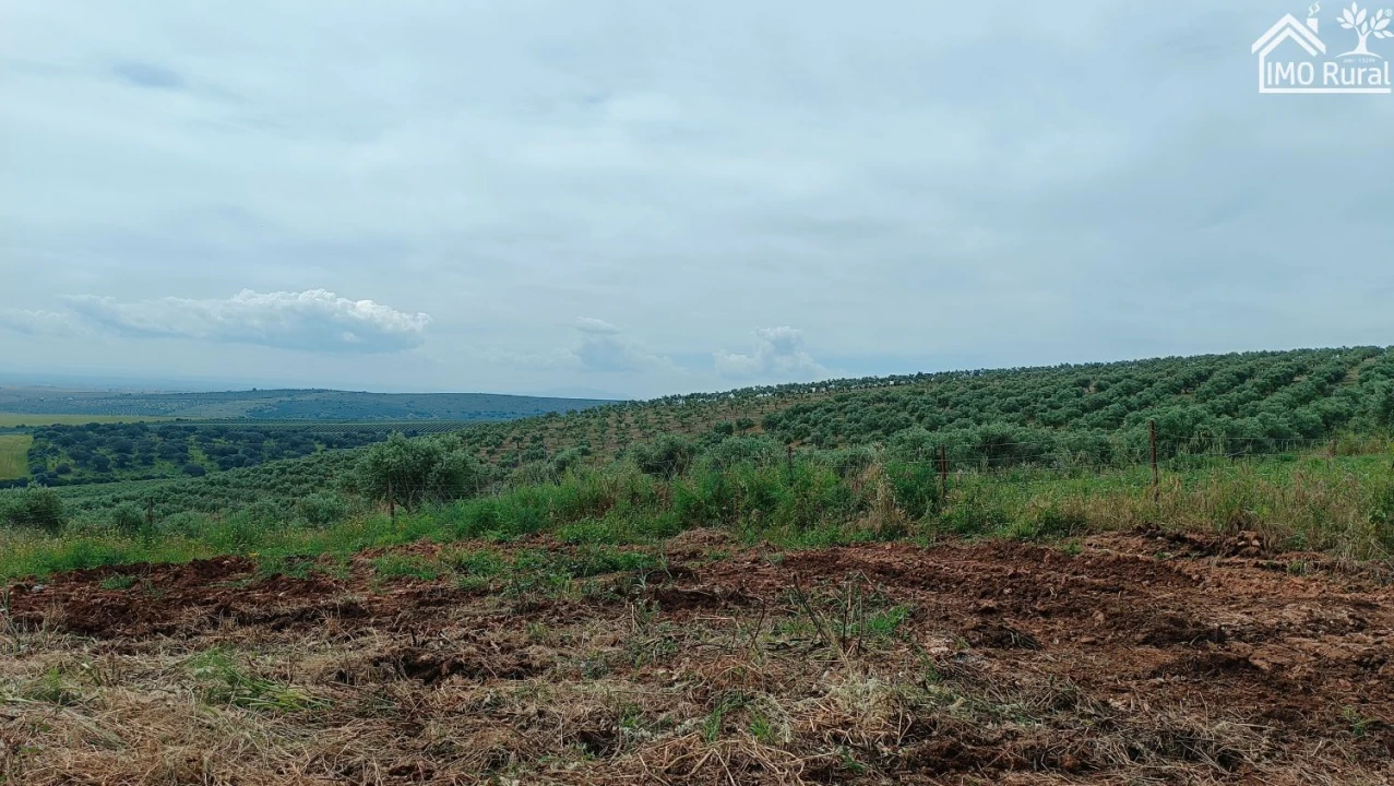 Terreno para Venda em Assunção, Ajuda, Salvador e Santo Ildefonso Foto 39
