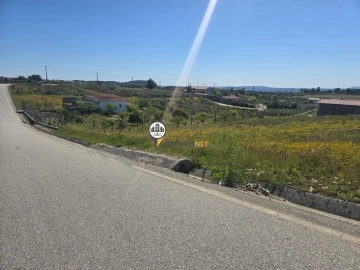 Terreno para Venda em Castelo Branco