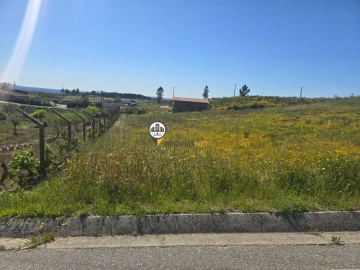 Terreno para Venda em Castelo Branco