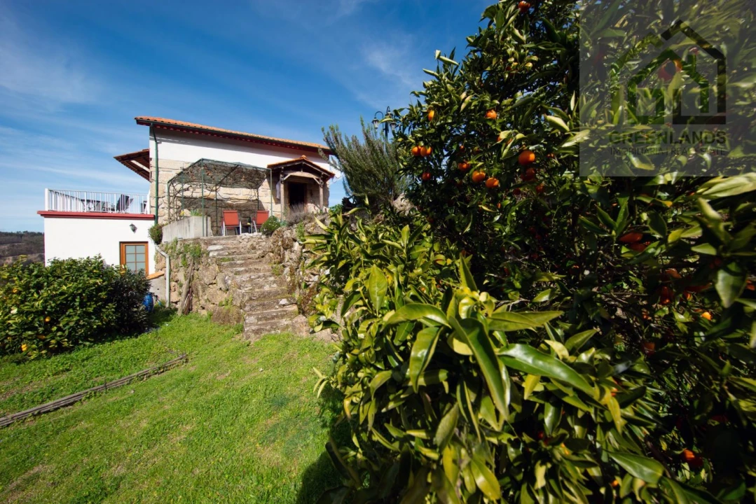 Quinta T2 para Venda em Povoa de Midões Foto 6