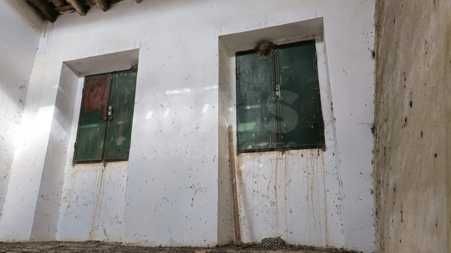 Terreno para Venda em São Matias Foto 12