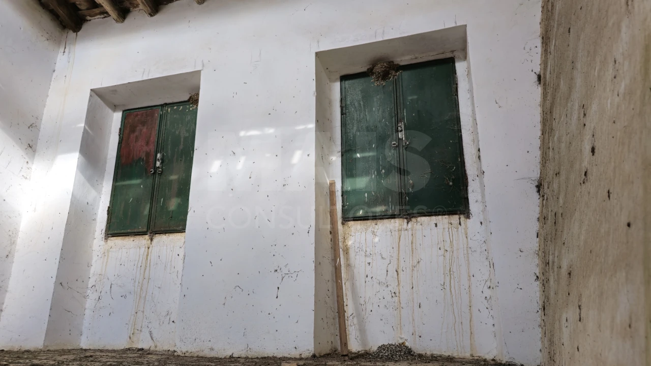 Terreno para Venda em São Matias Foto 12