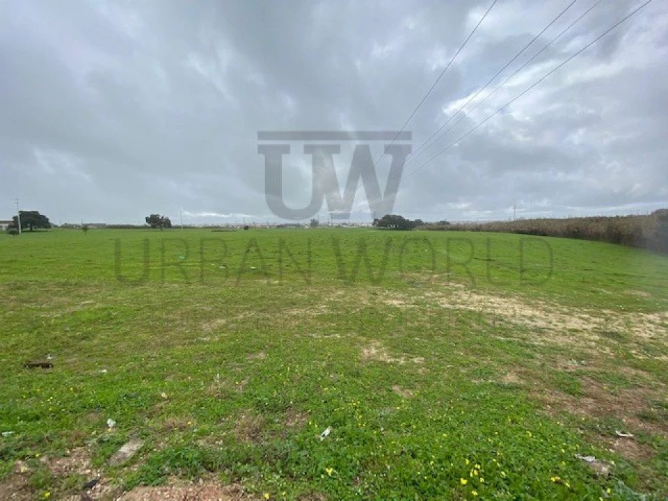 Terreno Comércio / Armazém para Venda em Montijo e Afonsoeiro Foto 3