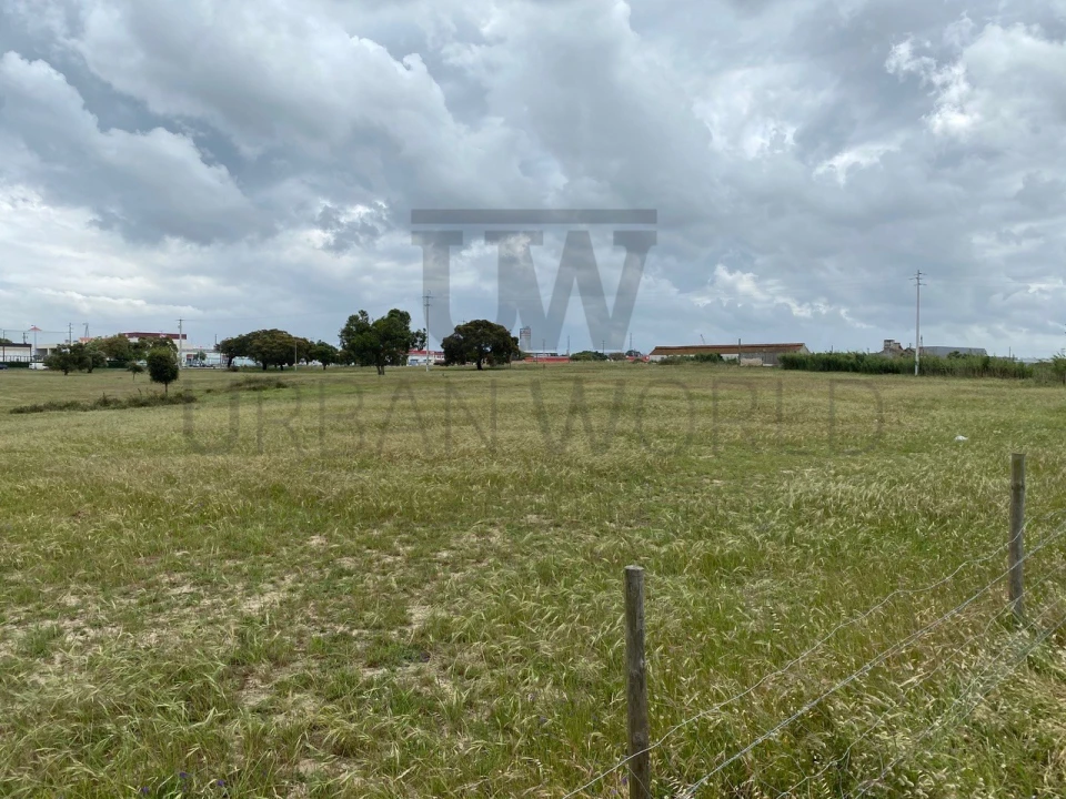 Terreno Comércio / Armazém para Venda em Montijo e Afonsoeiro Foto 10