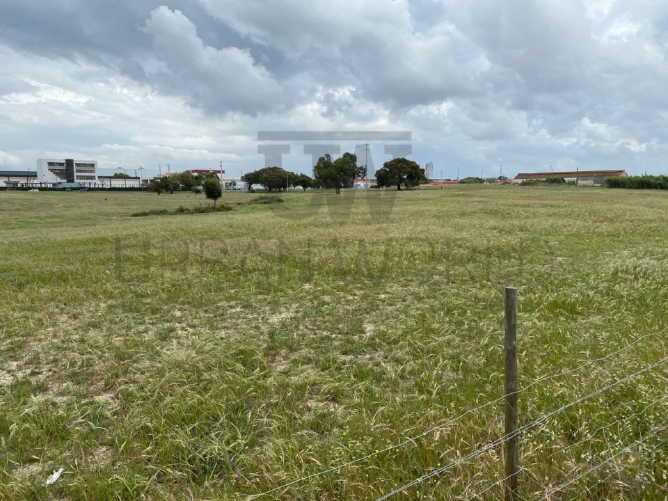 Terreno Comércio / Armazém para Venda em Montijo e Afonsoeiro Foto 12