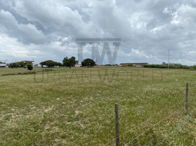 Terreno Comércio / Armazém para Venda em Montijo e Afonsoeiro Foto 10