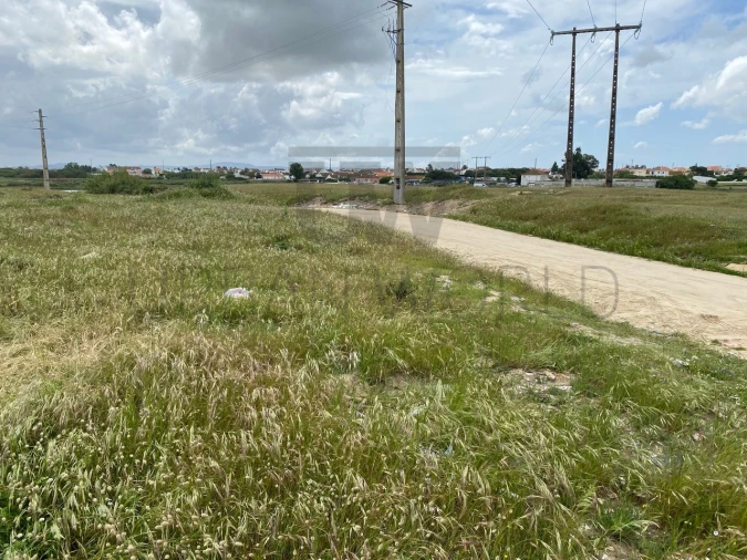 Terreno Comércio / Armazém para Venda em Montijo e Afonsoeiro Foto 11