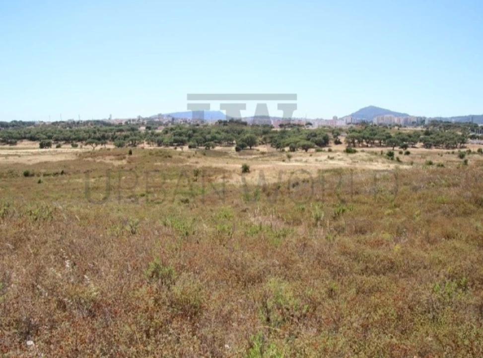 Terreno para Venda em Gambia-Pontes-Alto da Guerra Foto 5