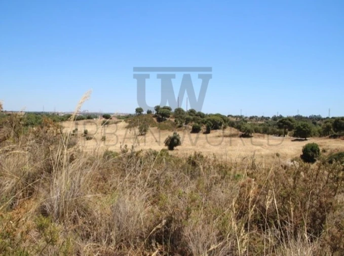 Terreno para Venda em Gambia-Pontes-Alto da Guerra Foto 2
