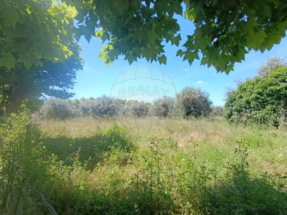 Terreno para Venda em Tamengos, Aguim e Óis do Bairro Foto 6