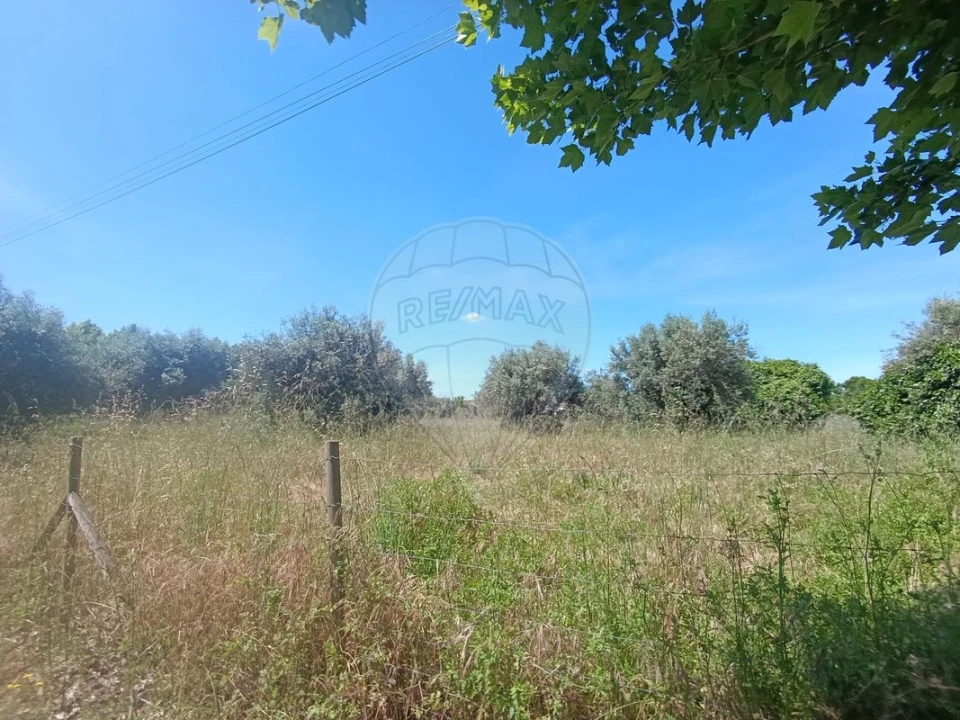 Terreno para Venda em Tamengos, Aguim e Óis do Bairro Foto 2