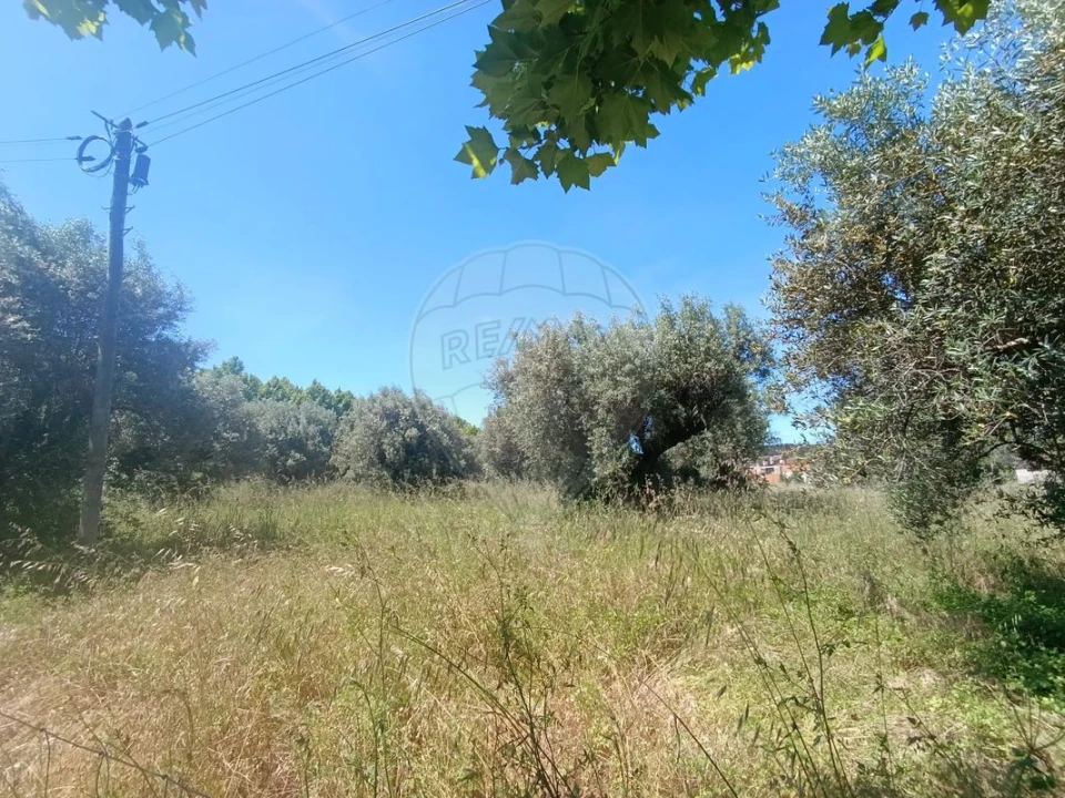 Terreno para Venda em Tamengos, Aguim e Óis do Bairro Foto 10