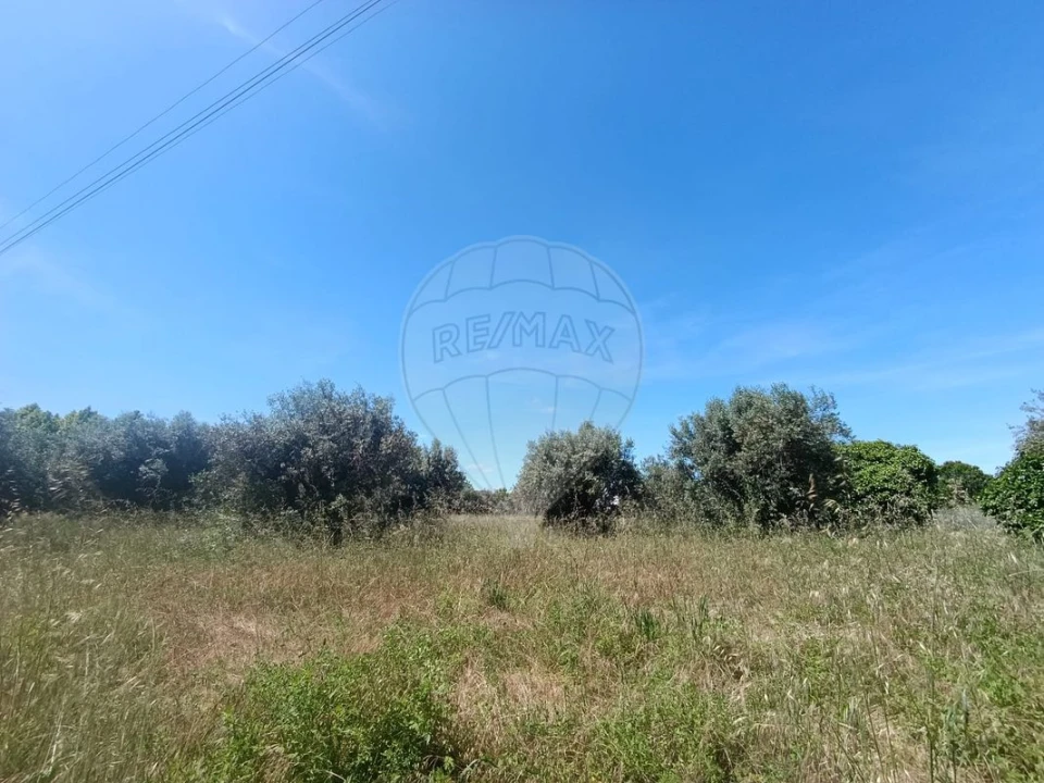 Terreno para Venda em Tamengos, Aguim e Óis do Bairro Foto 11