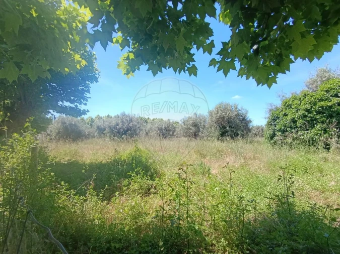 Terreno para Venda em Tamengos, Aguim e Óis do Bairro Foto 6