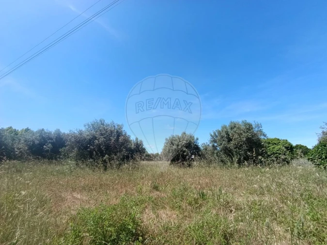 Terreno para Venda em Tamengos, Aguim e Óis do Bairro Foto 11