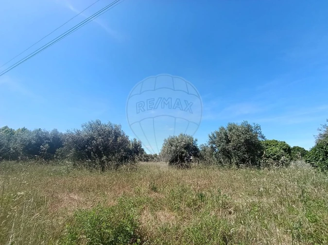 Terreno para Venda em Tamengos, Aguim e Óis do Bairro Foto 12