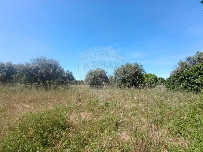 Terreno para Venda em Tamengos, Aguim e Óis do Bairro Foto 9