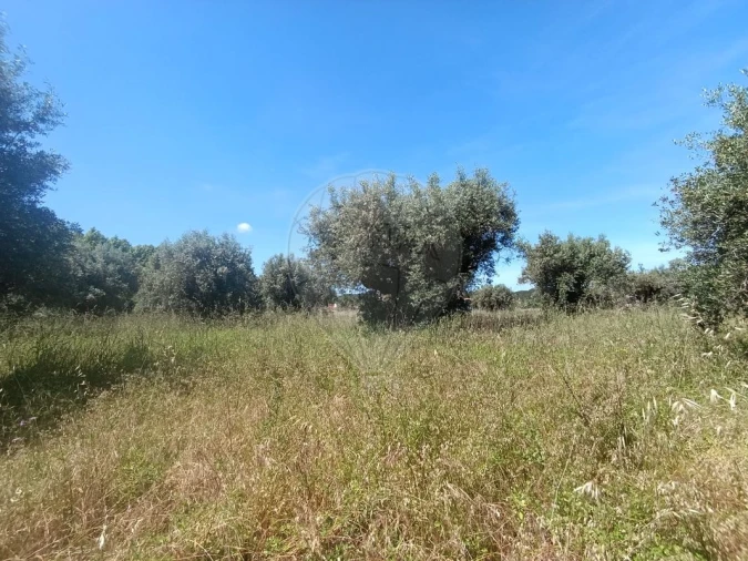 Terreno para Venda em Tamengos, Aguim e Óis do Bairro Foto 4