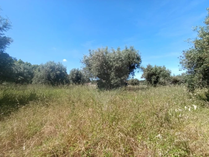Terreno para Venda em Tamengos, Aguim e Óis do Bairro Foto 5