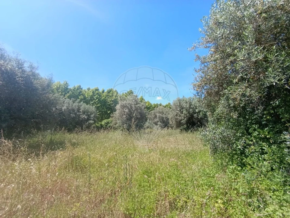 Terreno para Venda em Tamengos, Aguim e Óis do Bairro Foto 3