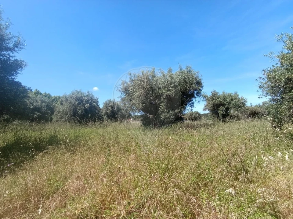 Terreno para Venda em Tamengos, Aguim e Óis do Bairro Foto 4