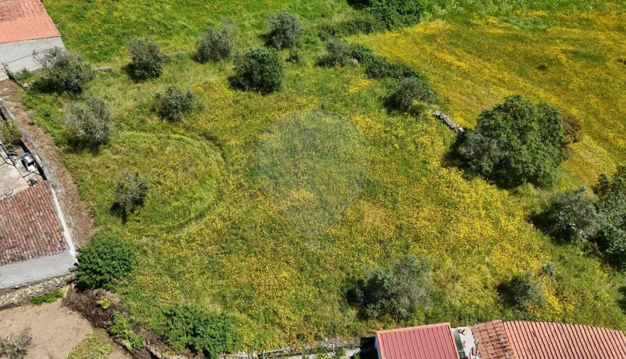 Terreno para Venda em Gavião e Atalaia Foto 1