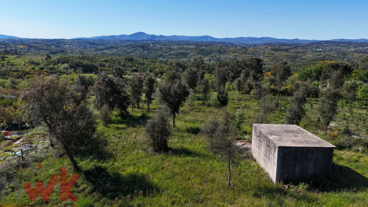 Terreno Agricola ou Rústico para Venda em Midões Foto 2