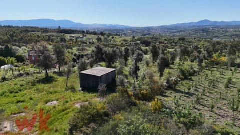 Terreno Agricola ou Rústico para Venda em Midões