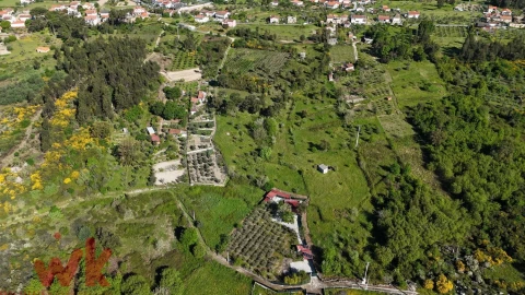Terreno Agricola ou Rústico para Venda em Midões