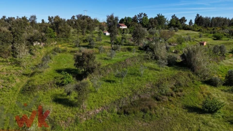 Terreno Agricola ou Rústico para Venda em Midões