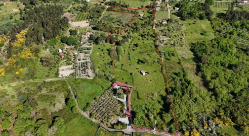 Terreno Agricola ou Rústico para Venda em Midões