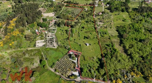 Terreno Agricola ou Rústico para Venda em Midões