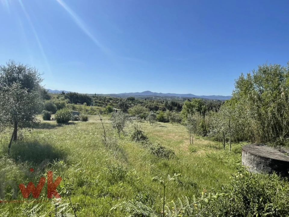 Terreno Agricola ou Rústico para Venda em Midões Foto 11