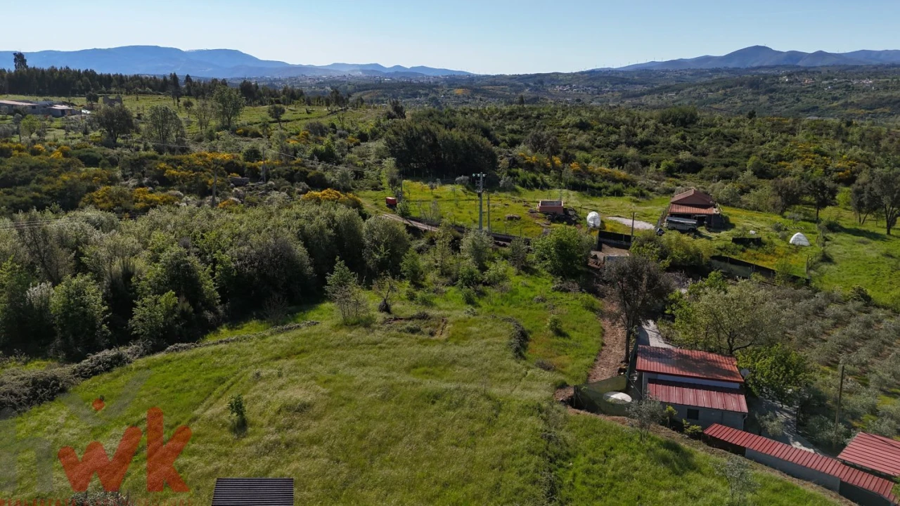 Terreno Agricola ou Rústico para Venda em Midões Foto 6