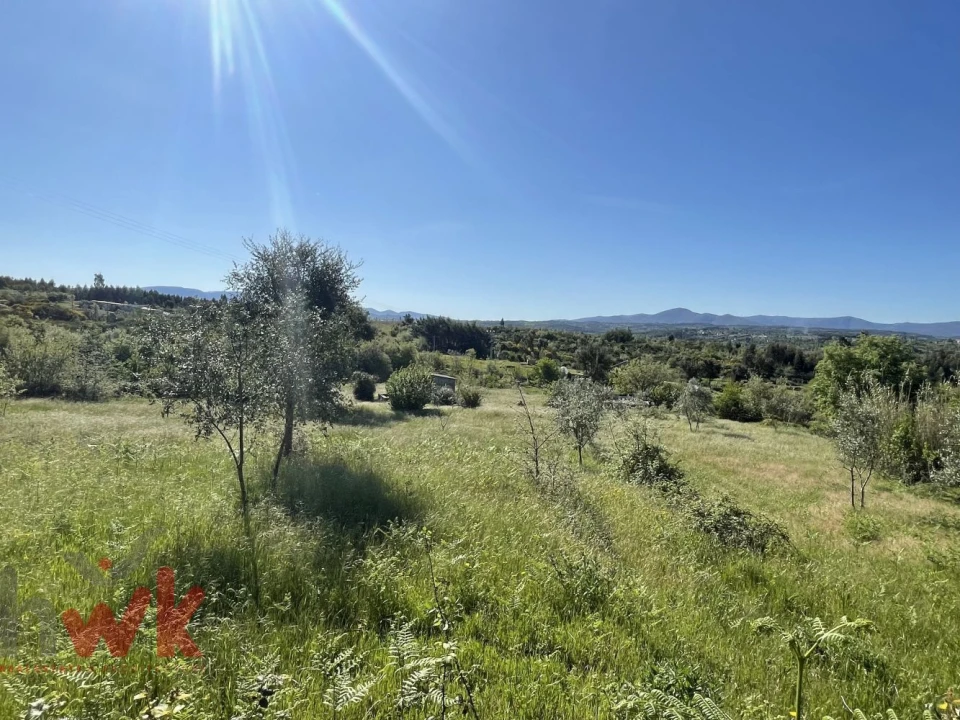 Terreno Agricola ou Rústico para Venda em Midões Foto 13