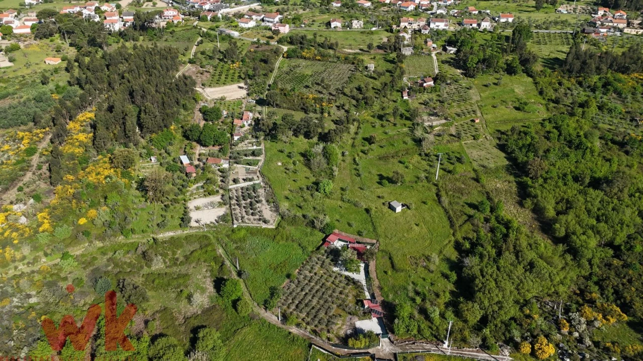 Terreno Agricola ou Rústico para Venda em Midões Foto 16