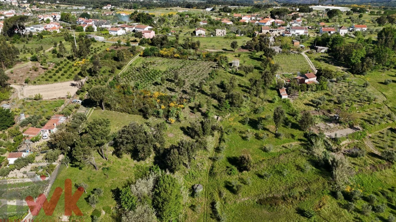 Terreno Agricola ou Rústico para Venda em Midões Foto 17