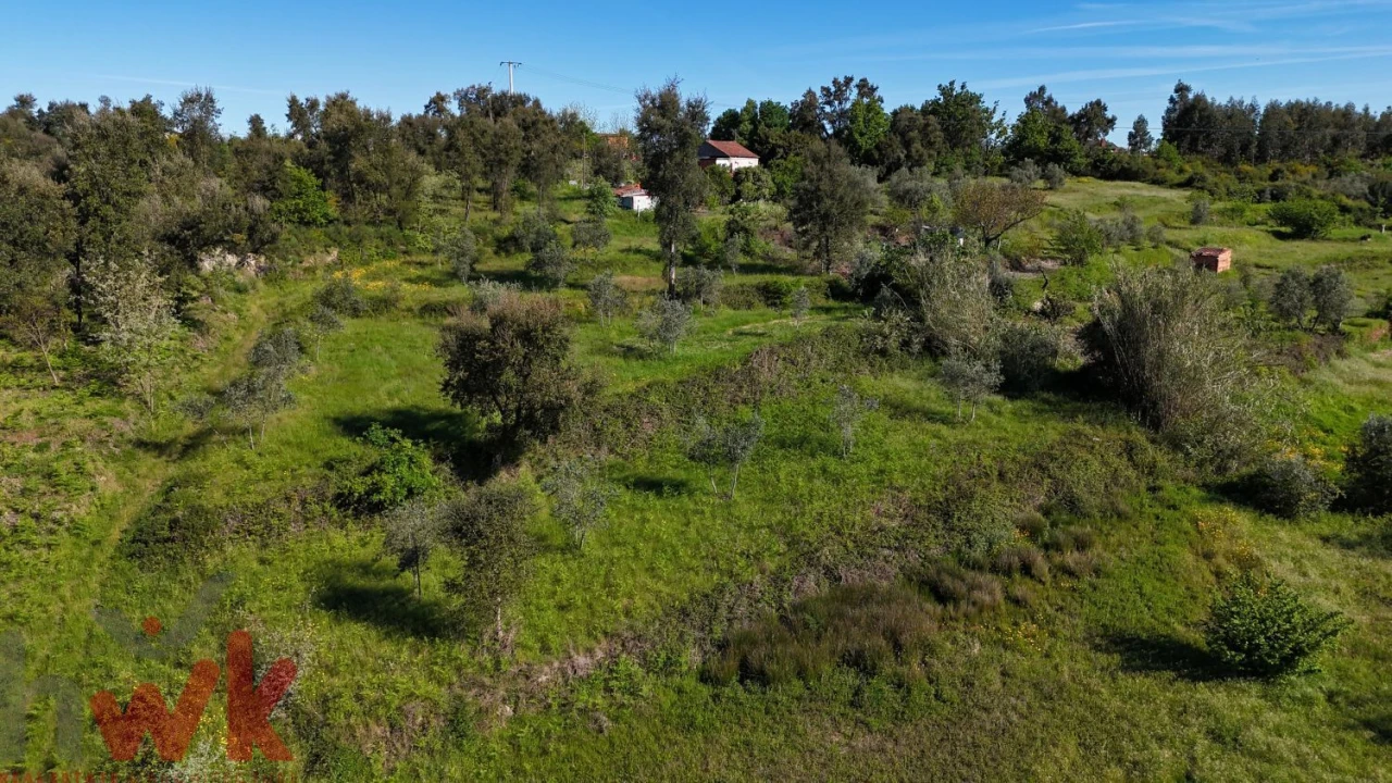 Terreno Agricola ou Rústico para Venda em Midões Foto 18