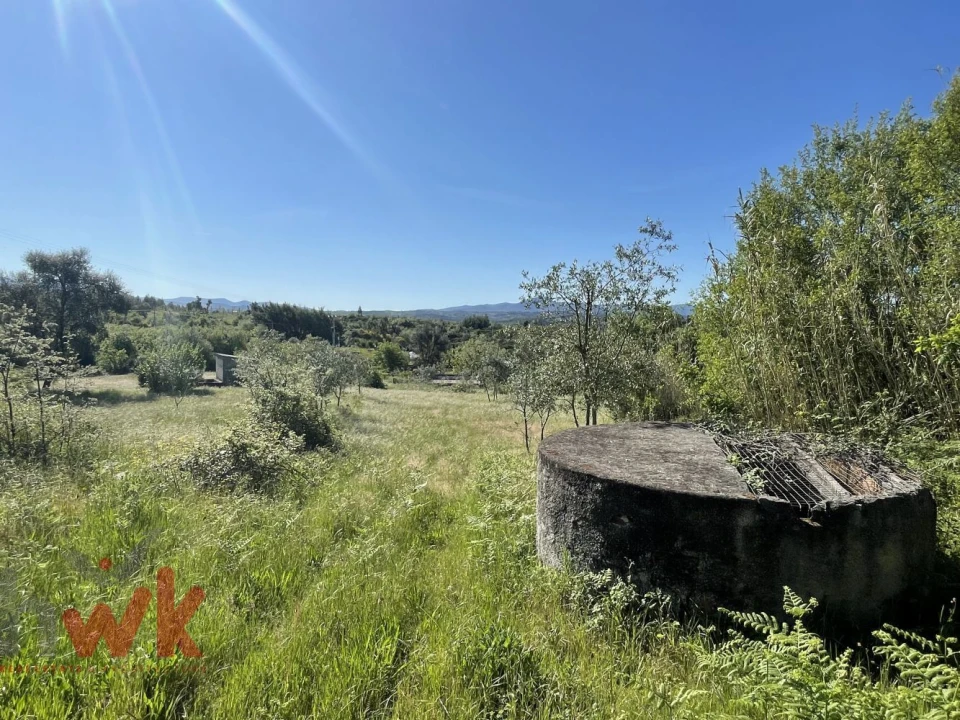 Terreno Agricola ou Rústico para Venda em Midões Foto 2