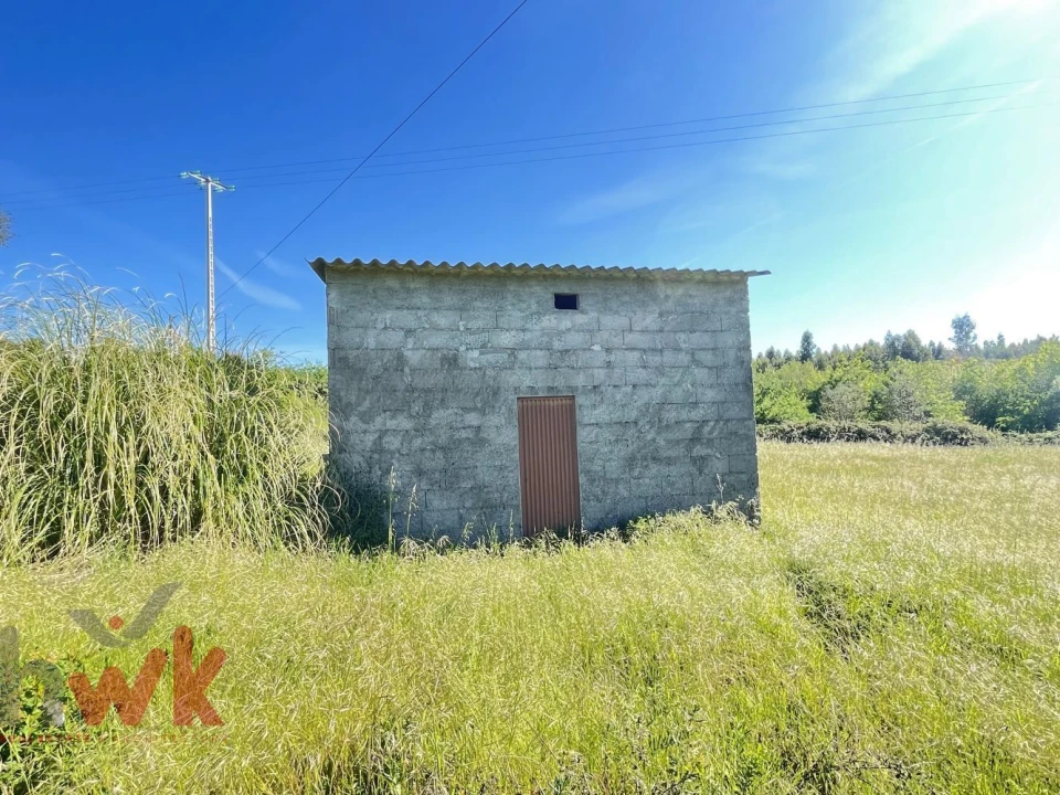 Terreno Agricola ou Rústico para Venda em Midões Foto 5