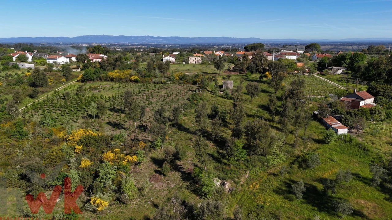 Terreno Agricola ou Rústico para Venda em Midões Foto 8