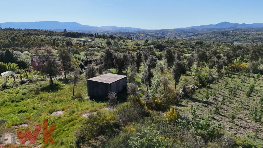 Terreno Agricola ou Rústico para Venda em Midões Foto 17