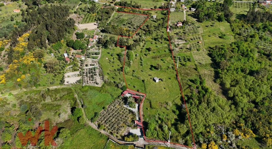 Terreno Agricola ou Rústico para Venda em Midões Foto 3