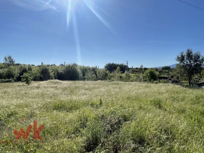 Terreno Agricola ou Rústico para Venda em Midões Foto 13