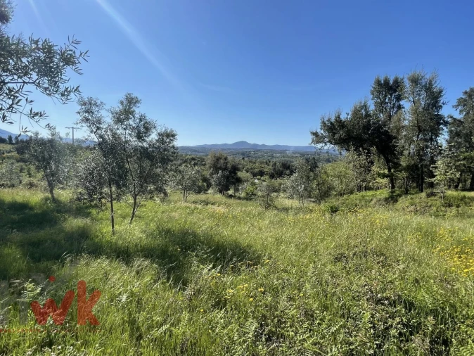 Terreno Agricola ou Rústico para Venda em Midões Foto 9