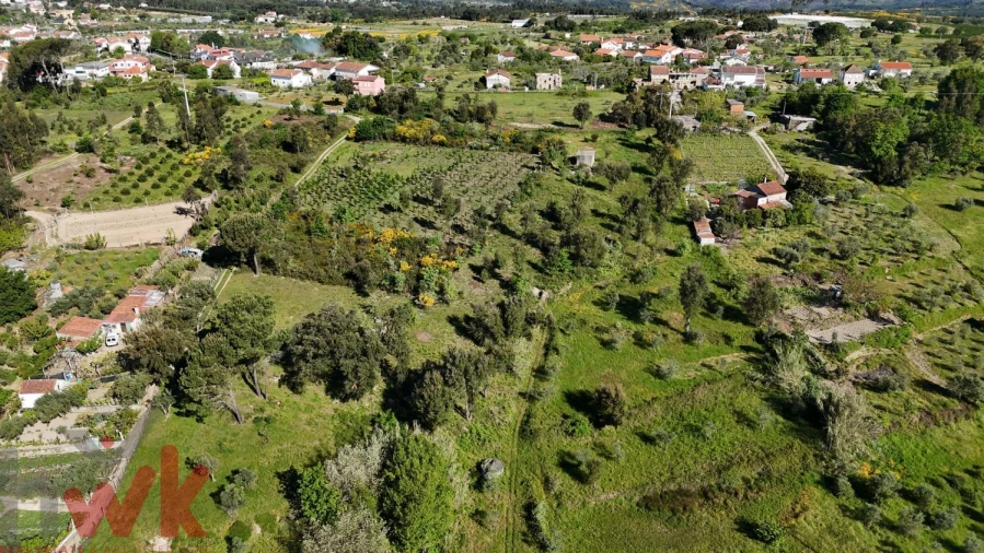 Terreno Agricola ou Rústico para Venda em Midões Foto 17