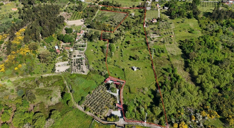 Terreno Agricola ou Rústico para Venda em Midões Foto 3