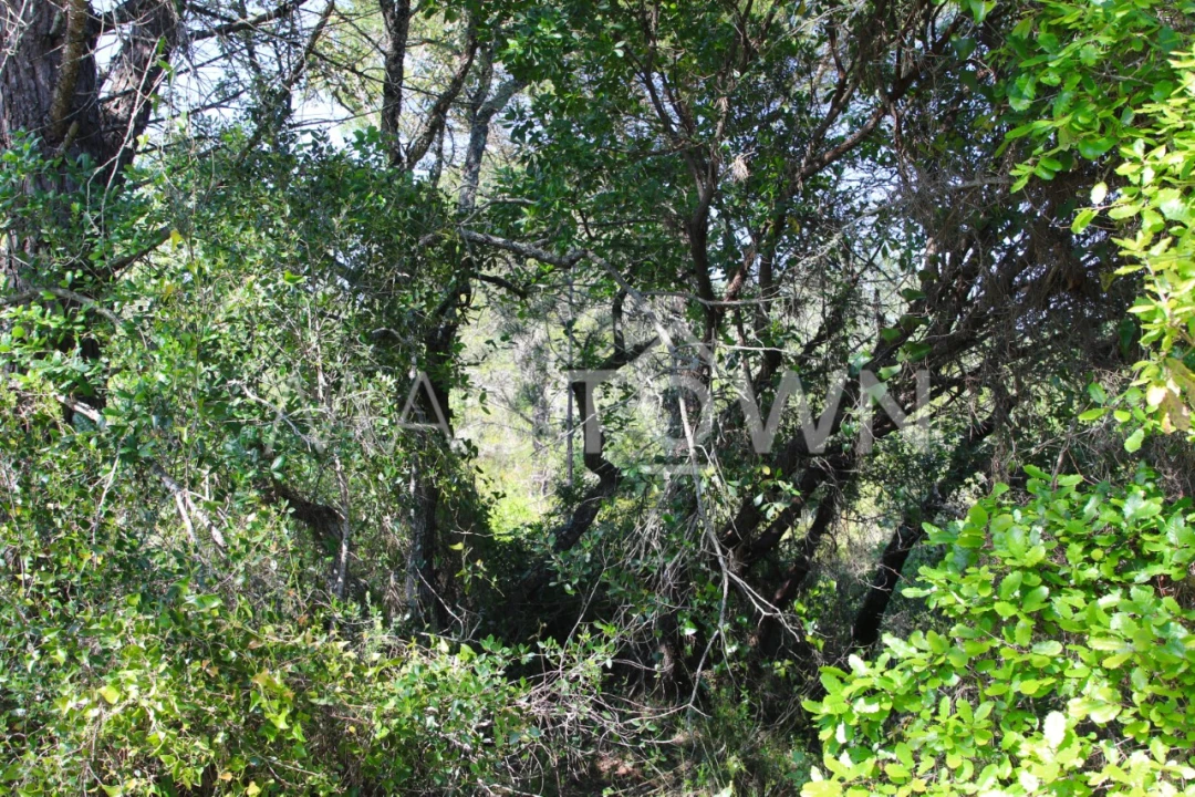 Terreno para Venda em Bucelas Foto 3